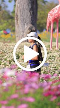 BIB:  <button type="button" onclick="openModal(27588504)" class="btn btn-primary btn-sm float-right" data-toggle="modal" data-target=".modal-high-quality">
                <i class="fa fa-download"></i> Download
                </button>